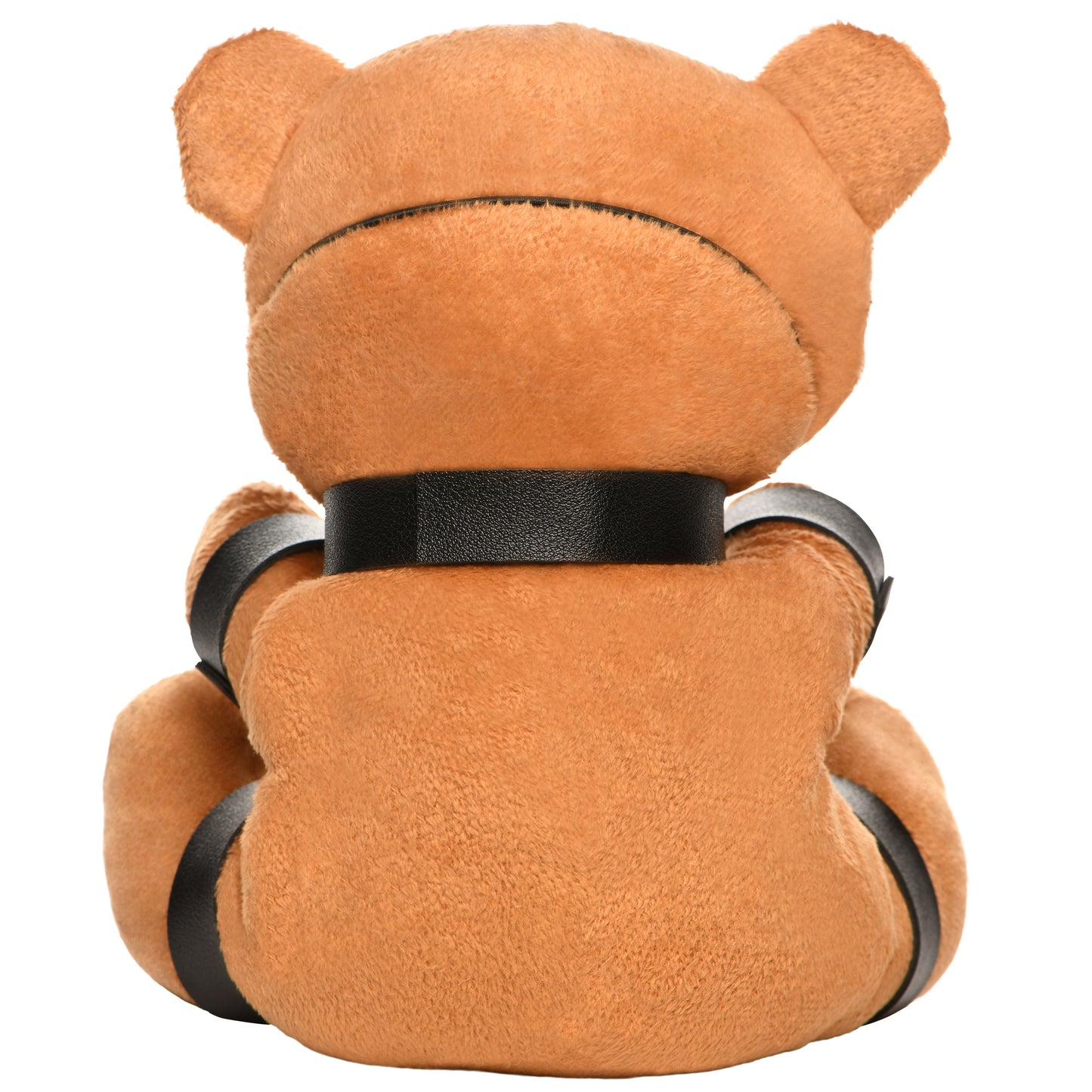 Gagged Bondage Teddy Bear